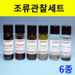 조류관찰세트 6종세트KSCI-1786 집콕 만들기키트 과학교구