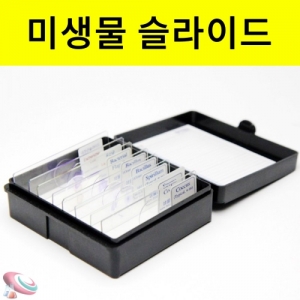 미생물 슬라이드세트 8종KSCI-5282  미생물 관찰 슬라이드표본세트. 집콕 만들기키트 과학교구