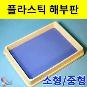 과학1번지 구정과학사,플라스틱 해부판 소형 중형 해부실험용