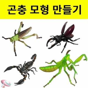 과학1번지 구정과학사,곤충 모형만들기 퍼즐