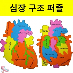 과학1번지 구정과학사,EVA 심장구조 모형퍼즐 학습교구