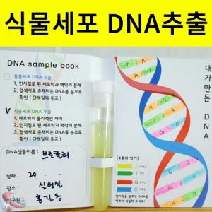 식물세포 DNA추출법 실험키트 10인용KSCI-6636tt DNA 식물추출실험 세포추출실험세트 10인용. 집콕 만들기키트 과학교구