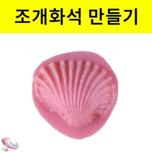 과학1번지 구정과학사,조개화석 만들기 6인용 세트