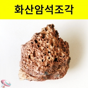 과학1번지 구정과학사,화산 암석 조각