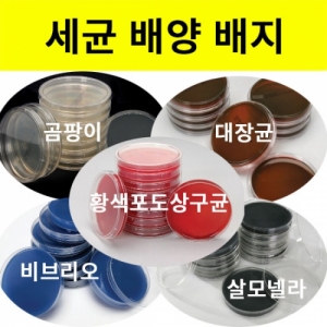 다양한 세균배양배지 - 대장균/곰팡이/황색포도상구균/비브리오/살모넬라균배양배지KSCI-8020 세균배양배지 대장균 곰팡이 비브리오 황색초도상구균. 집콕 만들기키트 과학교구