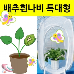 과학1번지 구정과학사,배추흰나비 키우기 세트 특대형 사육망