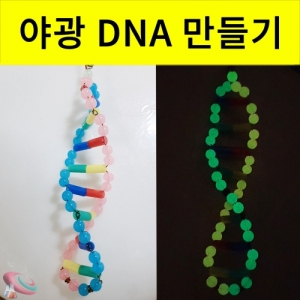 DNA모형만들기 야광비즈 이중나선모형만들기KSCI-8373 DNA 모형만들기 열쇠고리 키트 열쇠고리 생물 과학교구. 집콕 만들기키트 과학교구