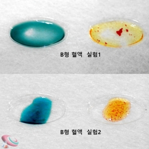 혈액형판정실험세트 5인용 혈청세트KSCI-8593tj 혈액형 판정에 사용되는 항 A 항B 혈청세트. 집콕 만들기키트 과학교구