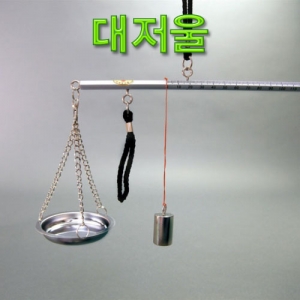 과학1번지 구정과학사,대저울