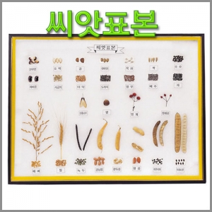 과학1번지 구정과학사,씨앗표본