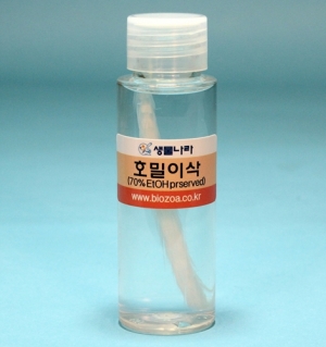 과학1번지 구정과학사,호밀이삭(고정)