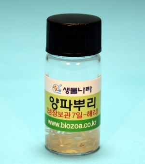 과학1번지 구정과학사,양파뿌리(해리) 10ml