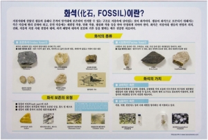 화석이란? 집콕 만들기키트 과학교구