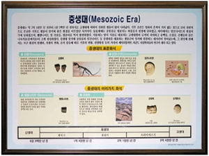 과학1번지 구정과학사,중생대 액자