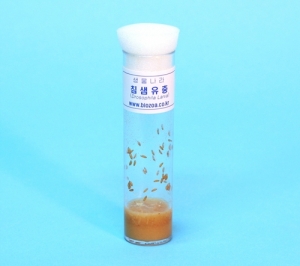 침샘유충KSCI-5233 집콕 만들기키트 과학교구