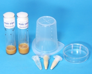 한살이 4종 관찰세트KSCI-5234 집콕 만들기키트 과학교구