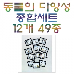 과학1번지 구정과학사,동물의 다양성 종합세트 12개 49종