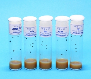돌연변이관찰세트 5종KSCI-5473 집콕 만들기키트 과학교구
