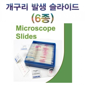 개구리 발생 슬라이드(6종 세트) 집콕 만들기키트 과학교구