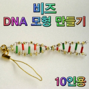 비즈 DNA모형 만들기 10인용KSCI-6780 이중나선 DNA 모형만들기 소형. 집콕 만들기키트 과학교구